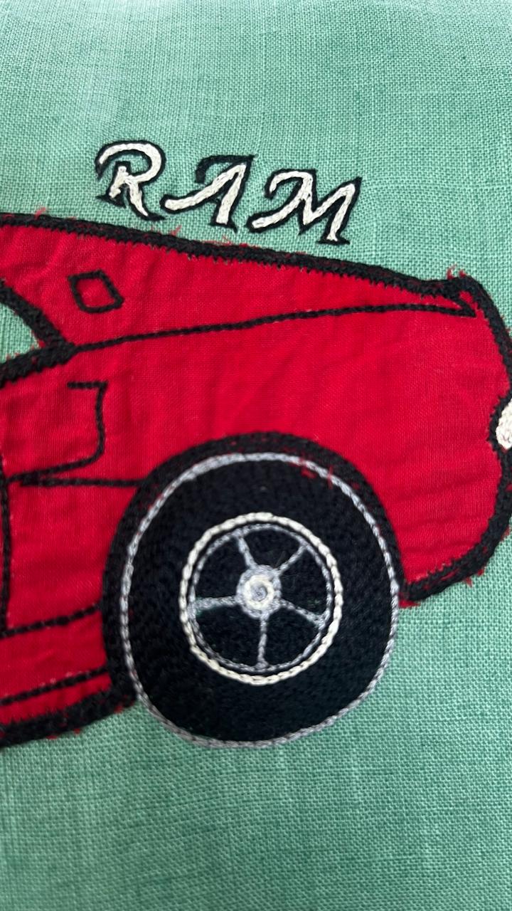 The Speedster Ruffle Cushion